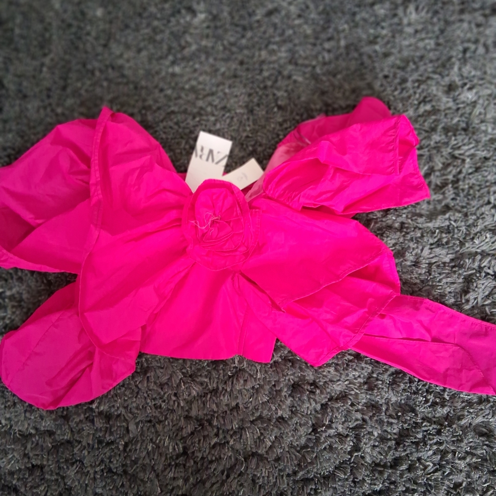 Zara Pink Crop Top